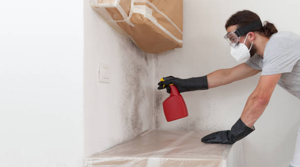 Professional Bathroom Mold Removal technician working in Willow Grove, TX